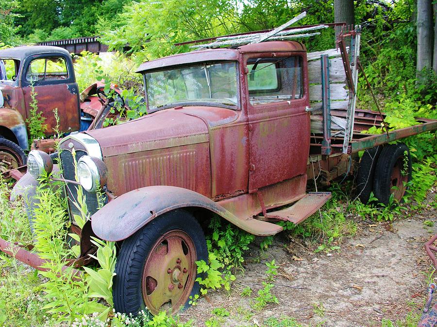 Rusty is Retired Photograph by Sherman Perry - Fine Art America