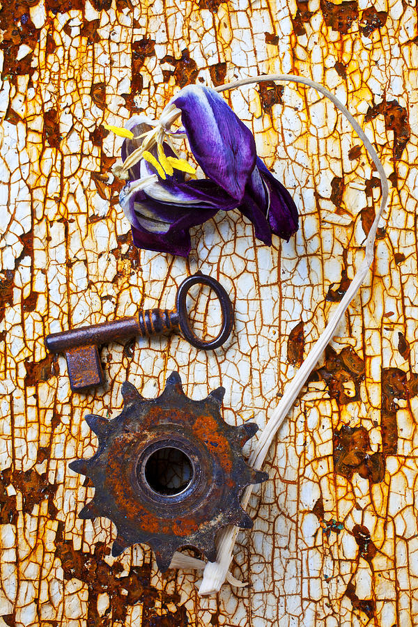 Rusty key and gear Photograph by Garry Gay