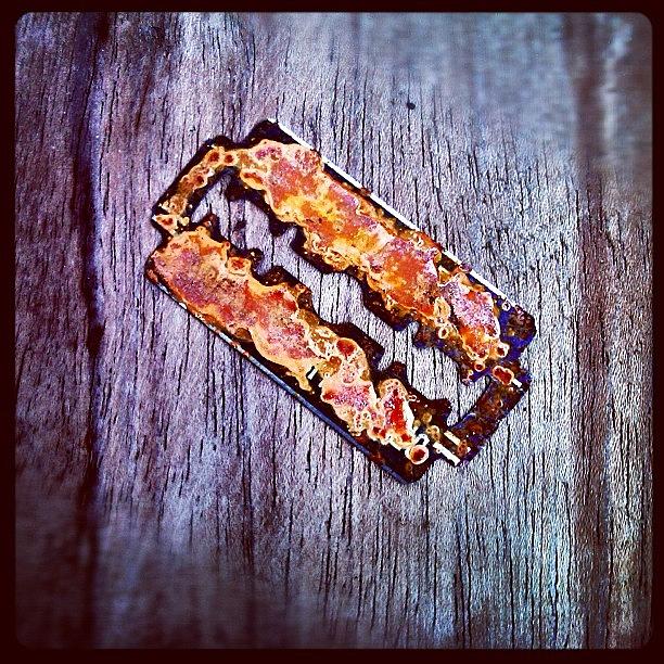 Silet Photograph - #rusty #rust #razorblade by Remy Asmara