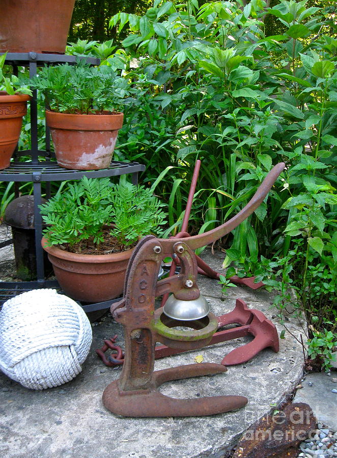 Rusty Things in the Garden Photograph by Nancy Patterson