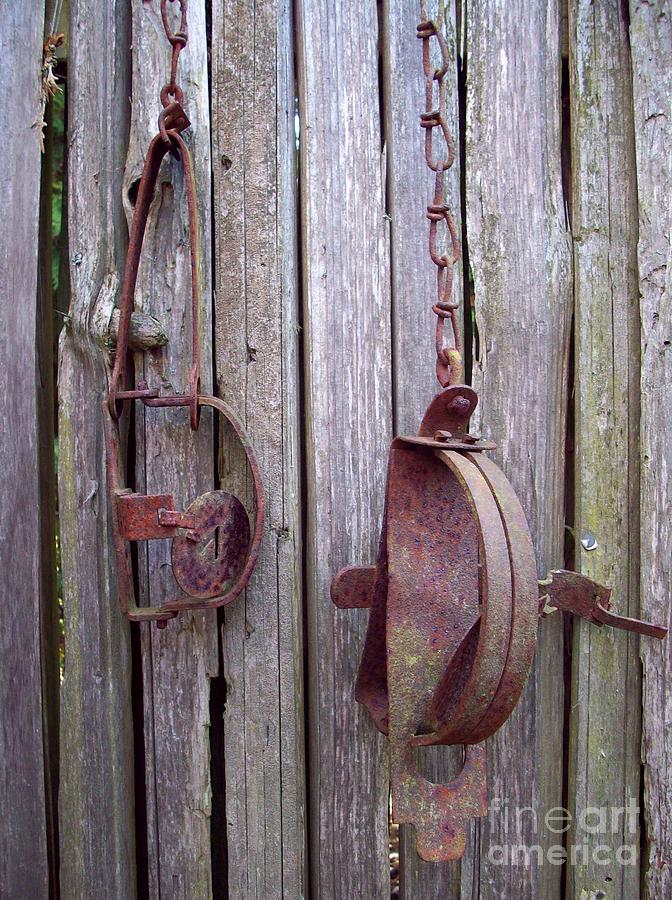 Vintage Photograph - Rusty Traps by Helen Campbell