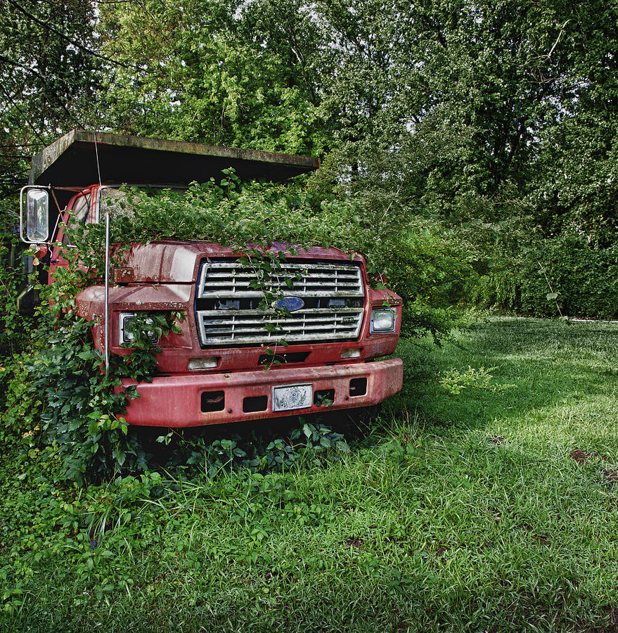 Rusty Truck Photograph by Bill Linhares