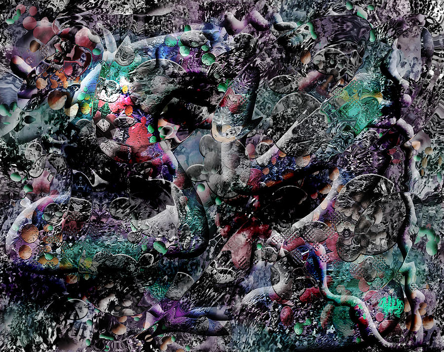 Sac Digital Art by Rufus Rafft - Fine Art America