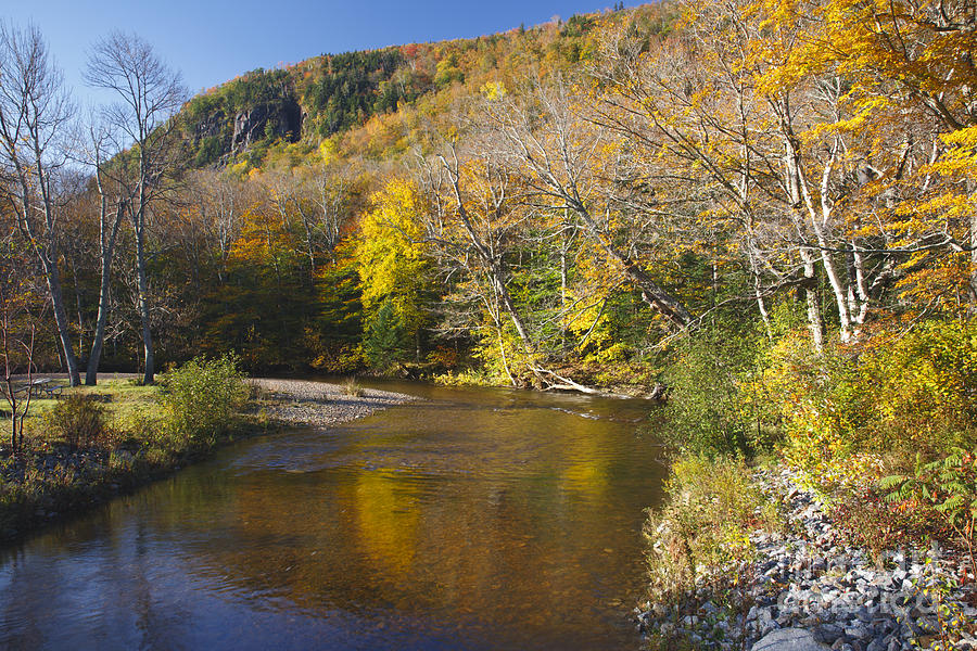 Nature Photograph - Saco River - White Mountains National Forest New Hampshire by Erin Paul Donovan