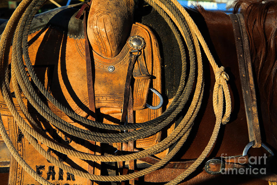 Saddle and Rope Photograph by Edward R Wisell
