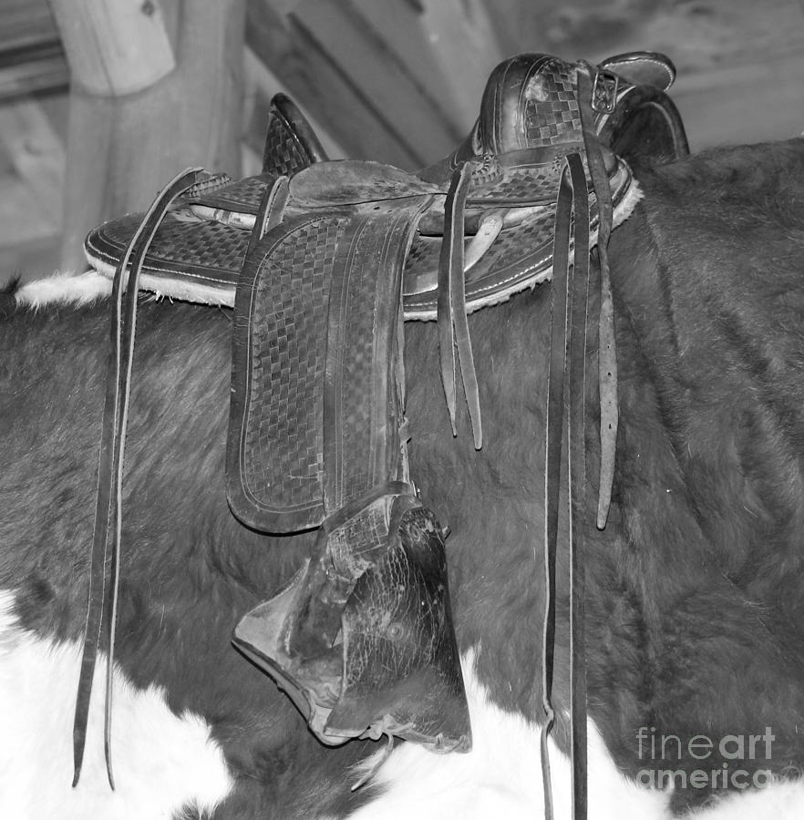 Saddle Over Cowhide in black and white Photograph by Pamela Walrath