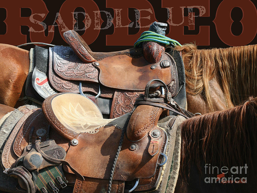 Saddle Up Photograph by Karen White