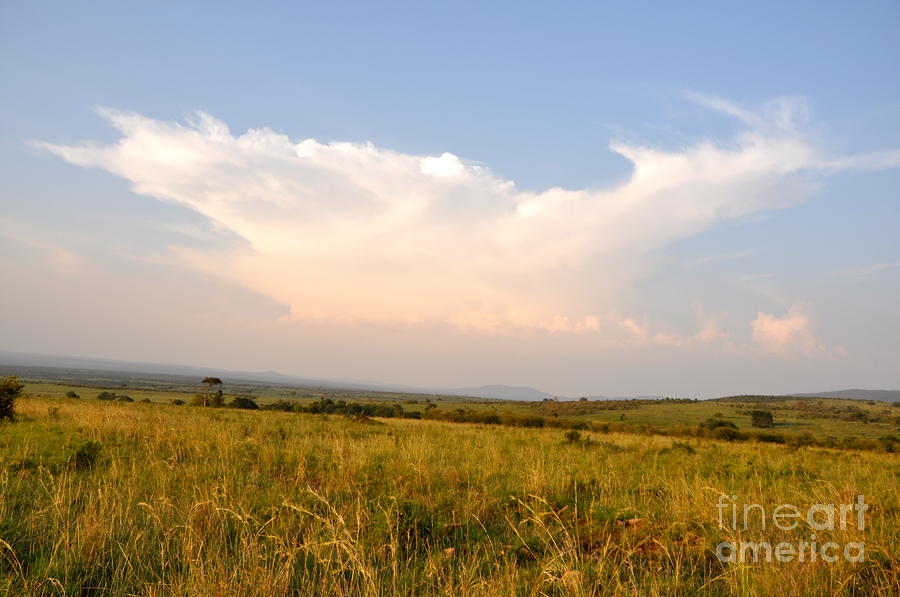 Safari Sky Photograph by Marge Marino - Fine Art America