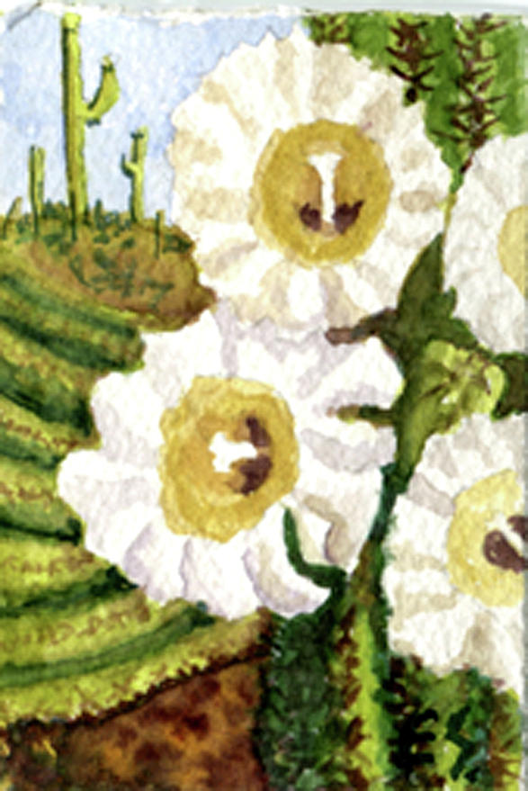 Saguaro Spring Painting by Eric Samuelson