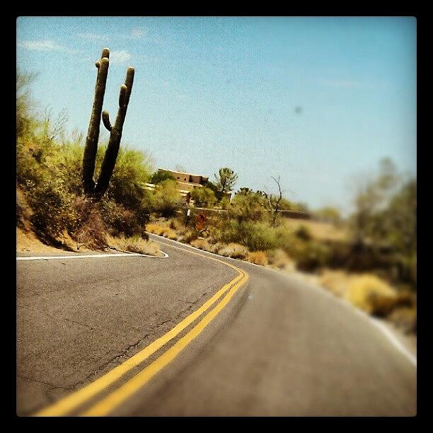 Scottsdale Photograph - #sahuaro #cactus #scenic #road by Dave Moore