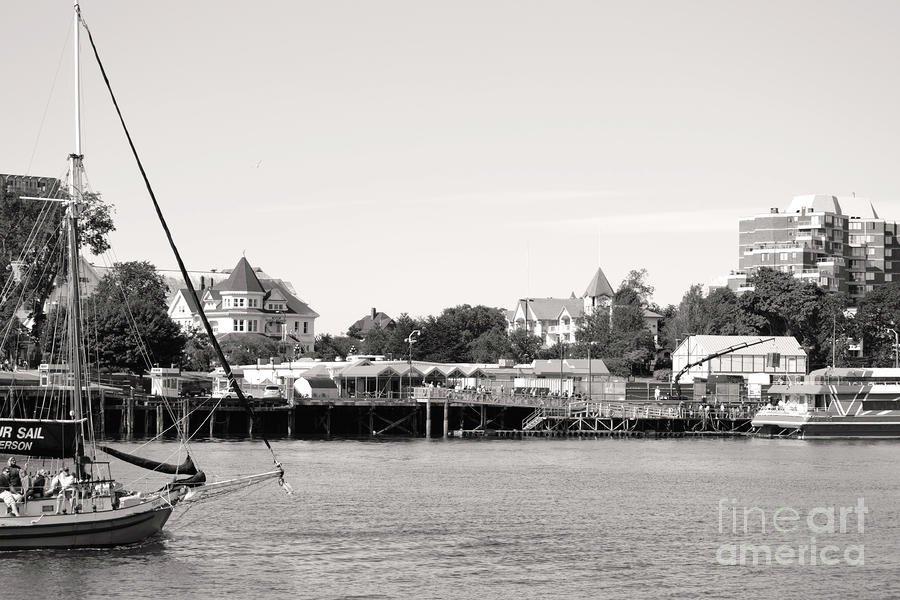Black And White Photograph - Sail Away by Traci Cottingham