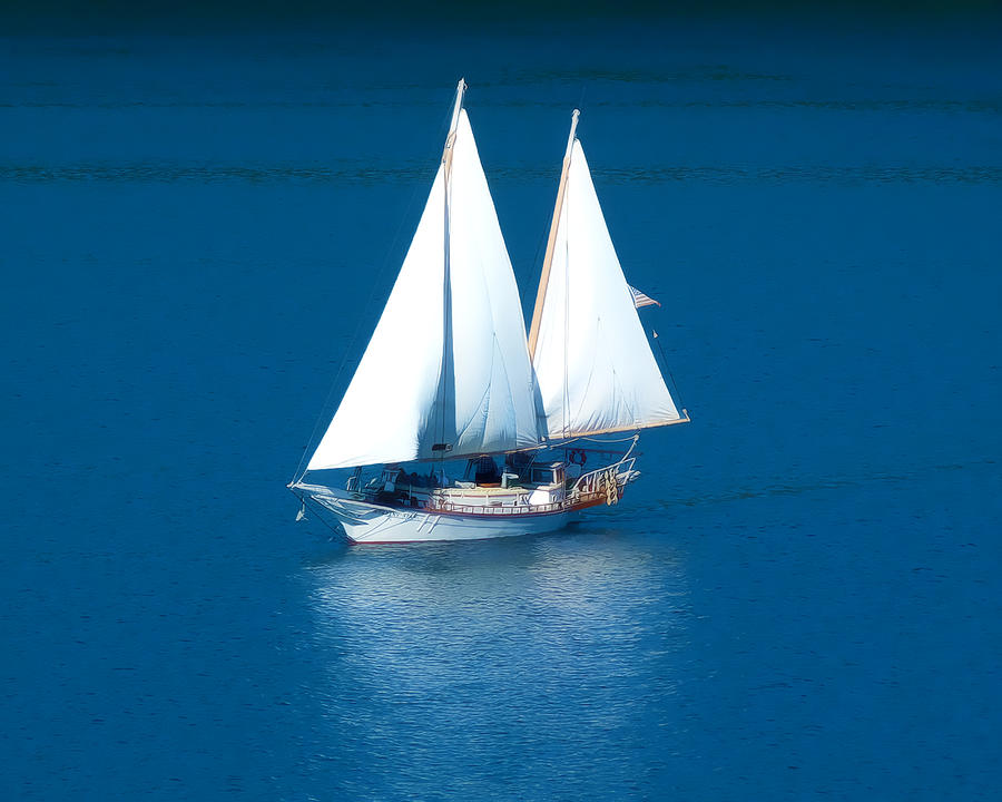 Sail off Orcas Island Photograph by Terry Fiala