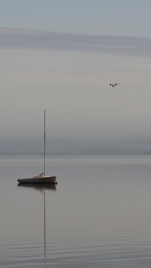 Sailboat and Seagull Photograph by Billy Beck