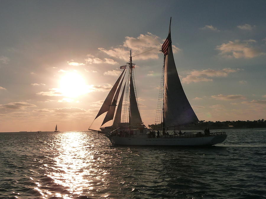 Sailboat at Key West Photograph by Jo Sheehan