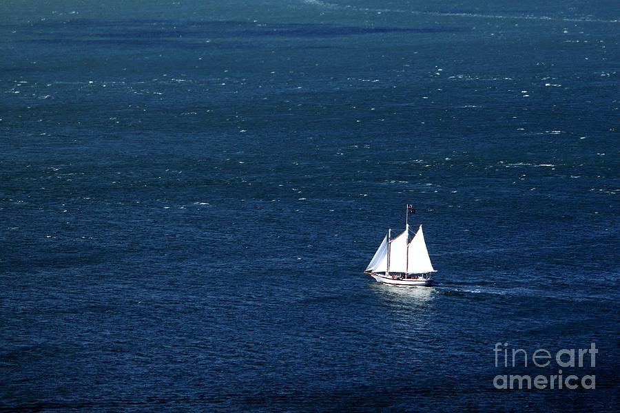 Sailboat Photograph by Henrik Lehnerer