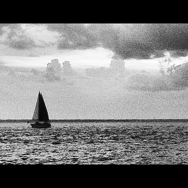 Sailboat In Black And White Photograph by Nadine Rippelmeyer