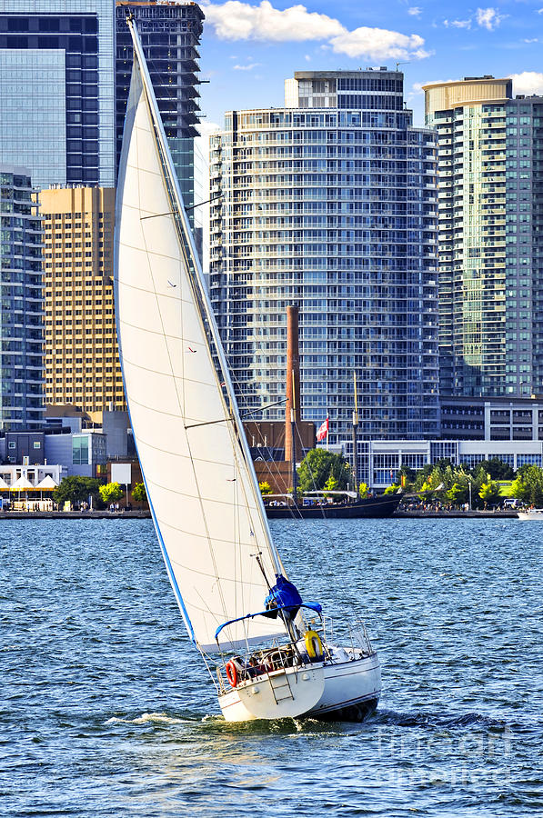 Sailboat in Toronto harbor Photograph by Elena Elisseeva