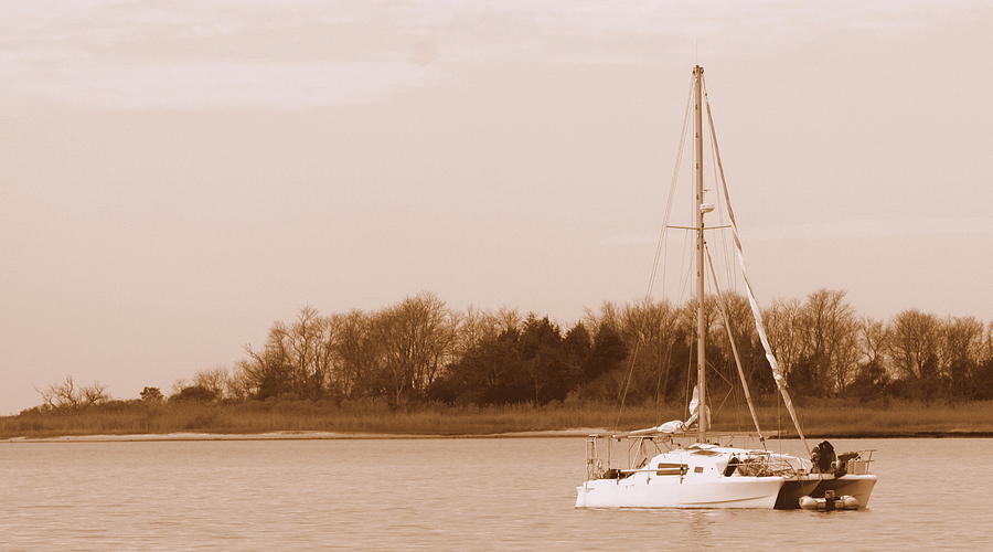 Sailboat on Chesapeake Photograph by Theresa Johnson