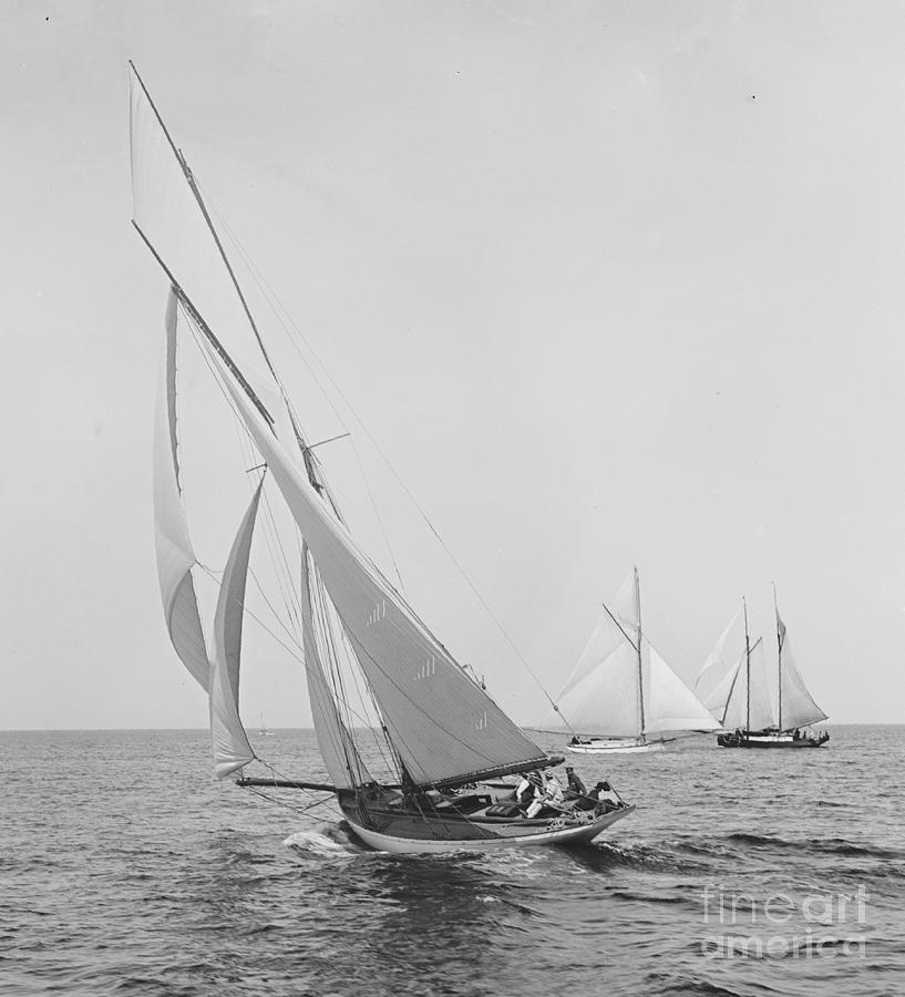 Boat Photograph - Sailboat Papoose 1887 BW by Padre Art