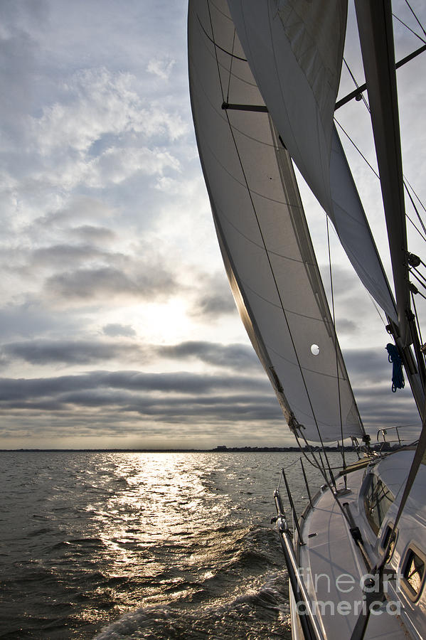 Sunset Photograph - Sailboat Sailing Beneteau 49 Charleston Harbor by Dustin K Ryan