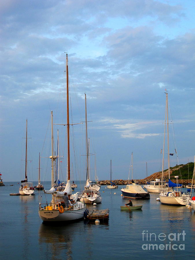 Sailboats at Rest Photograph by B Rossitto