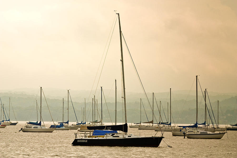 Sailboats Moored in the Harbor Photograph by Ann Murphy