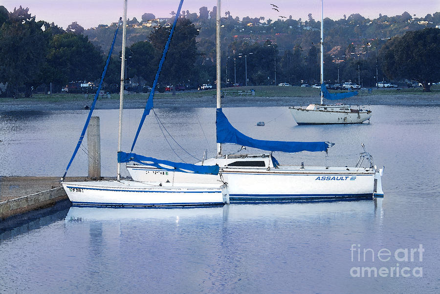Sailboats San Diego Photograph by Betty LaRue