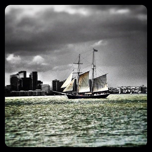 Boat Photograph - Sailing Along The Hudson by Natasha Marco