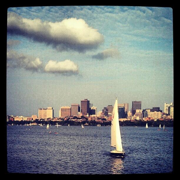 Sailing And Kayaking On The Charles Photograph by Caitlin Kunzle