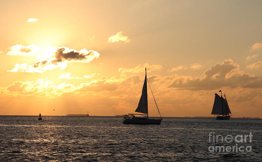 Sailing At Sunset - Key West Photograph by Christiane Schulze Art And Photography