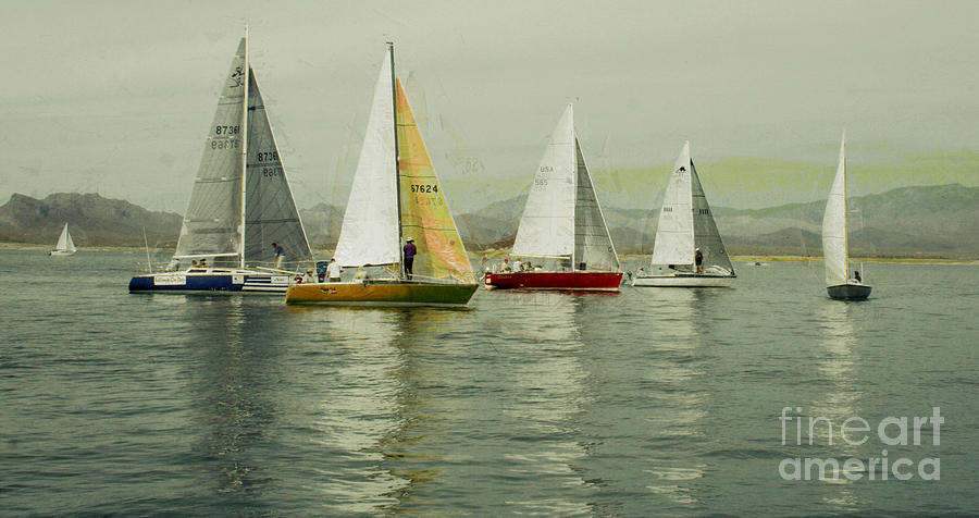 Sailing Day Regatta Photograph by Julie Lueders 