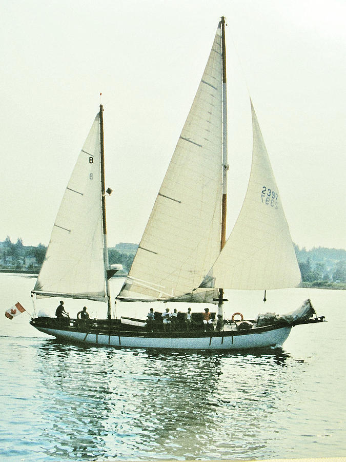 Sailing Photograph by Ian  MacDonald