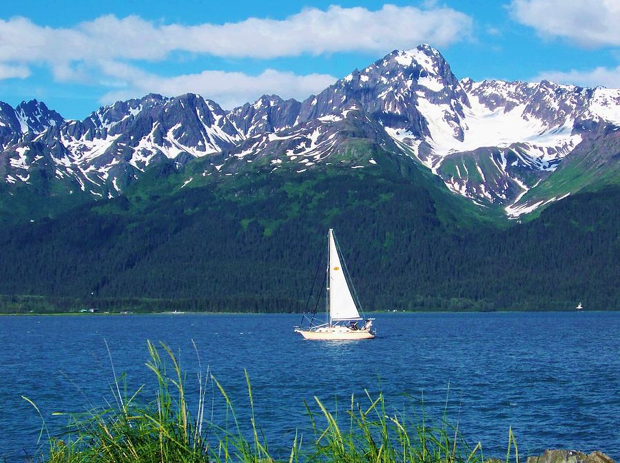 Sailing In Alaska Photograph By Tammy Anderson - Fine Art America