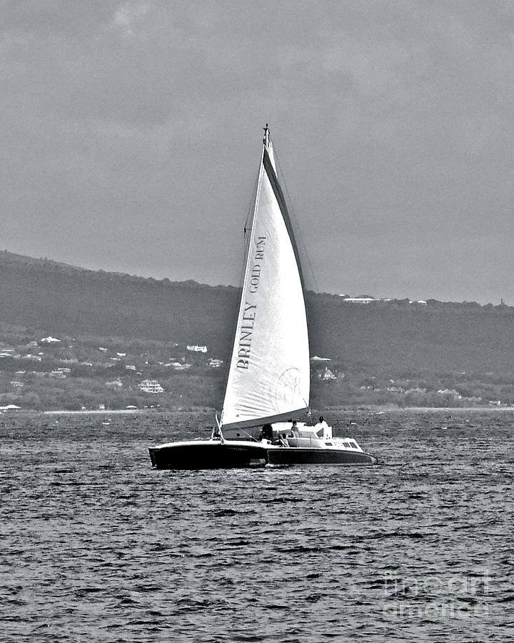 Sailing in the Caribbean Photograph by Carol  Bradley
