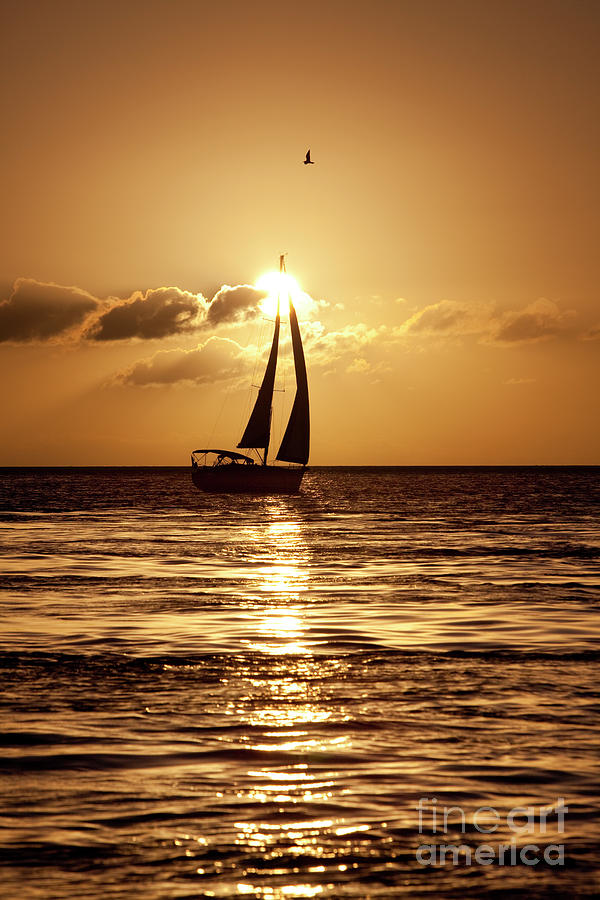 Sailing in the Sun Photograph by Keith Kapple