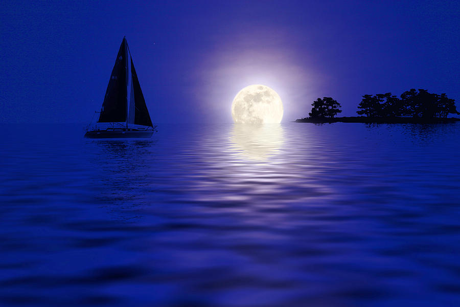 Sailing Into The Moonlight Photograph by Cindy Haggerty