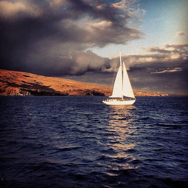 Boat Photograph - Sailing Maalaea by Jody Robinson