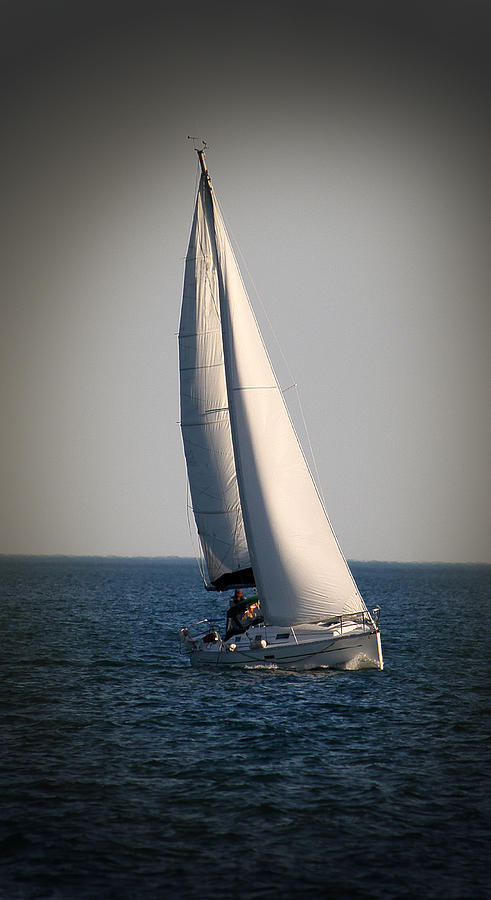 Sailing Photograph by Milena Ilieva