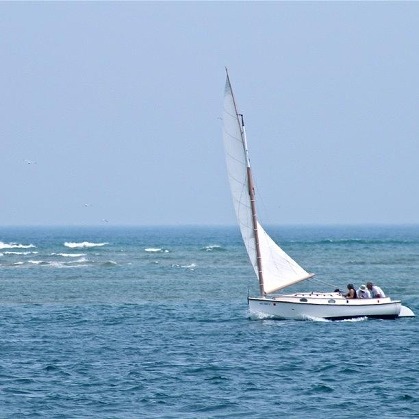 Boat Photograph - Sailing Off Cape Cod  by Justin Connor