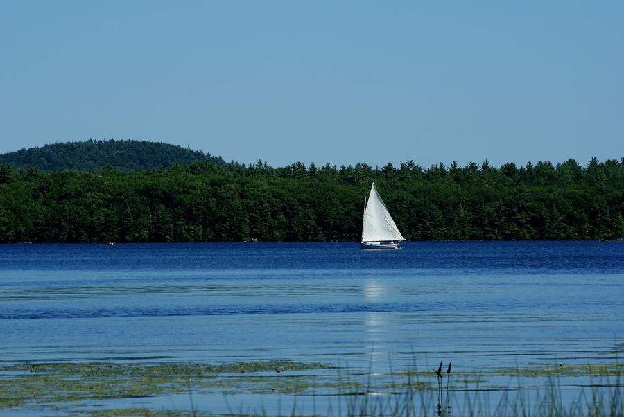 Sailing on Lake Massabesic Photograph by Lois Lepisto