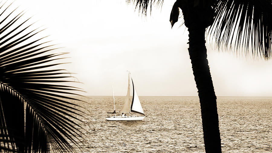 Sailing the Pacific Photograph by Marilyn Hunt