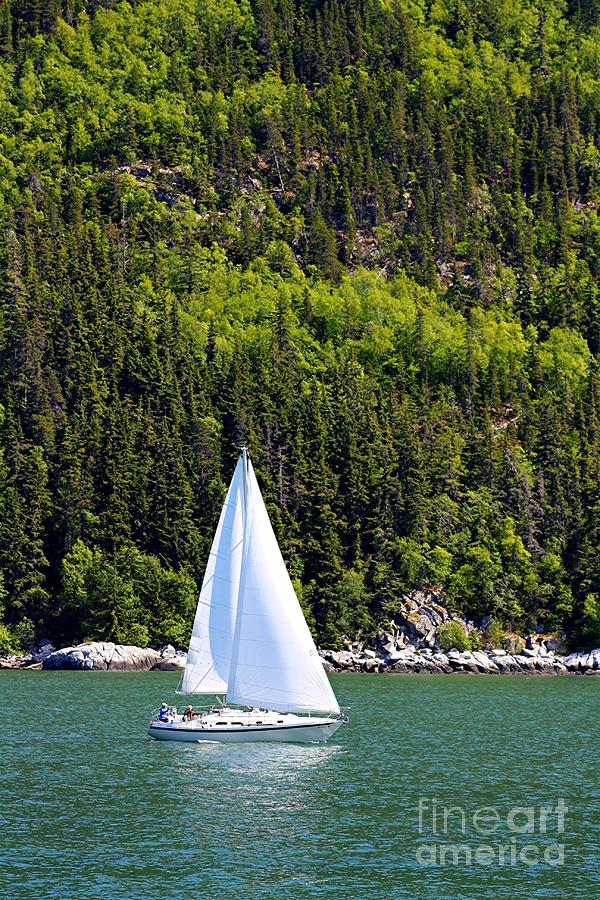 Sailing the Wilderness Photograph by Laurinda Bowling
