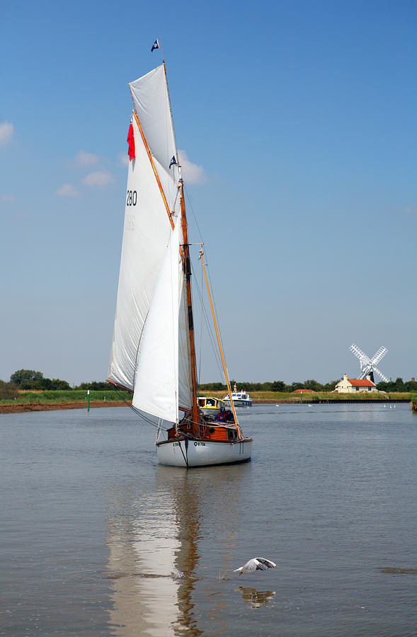 Sailing the Yare Photograph by Paul Cowan