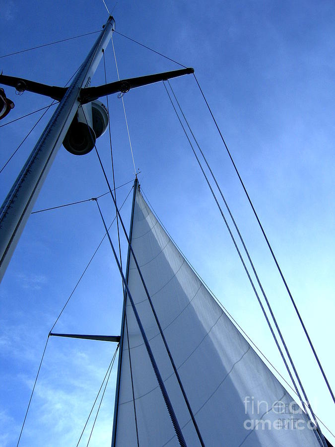 Sailing01 Photograph by Leela Arnet