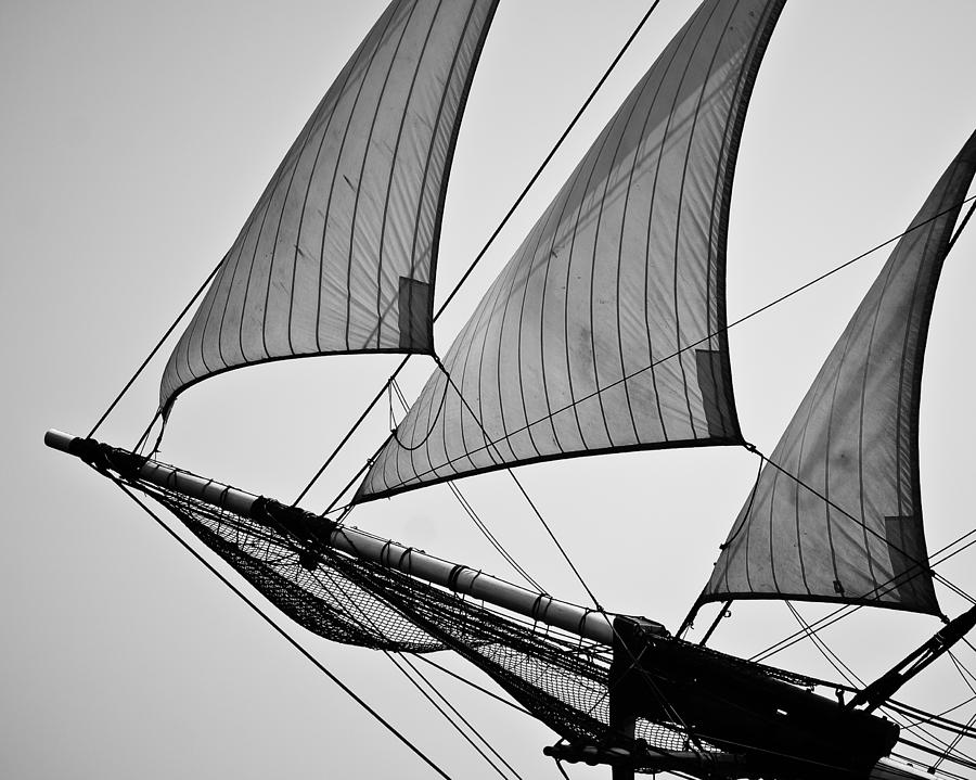 Sails in Black and White Photograph by Peggie Strachan