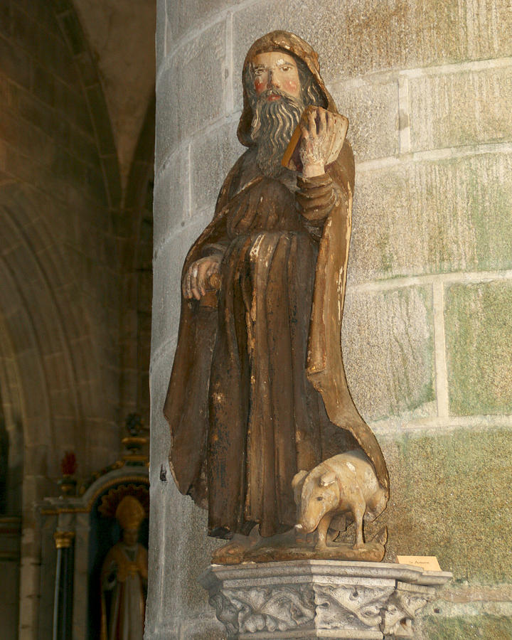 Saint Anthony Photograph by Diana Haronis