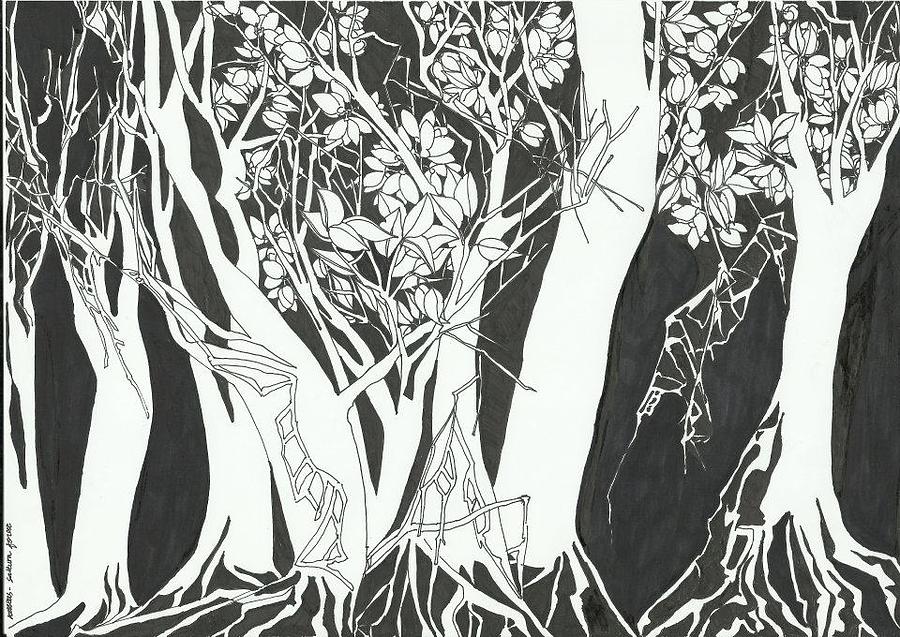 Sakura Forest Drawing by Kesslers Tan