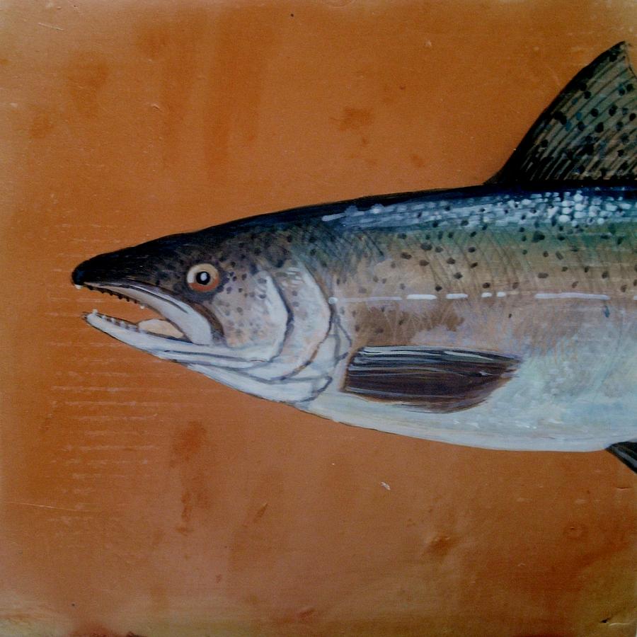 Salmon 1 Ceramic Art by Andrew Drozdowicz