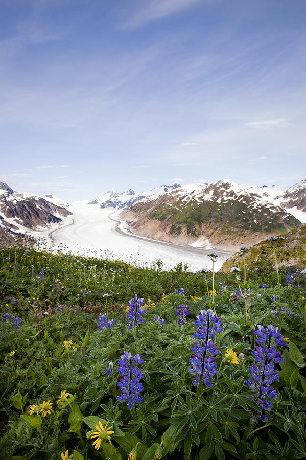 Salmon Glacier Photograph - Salmon Glacier by Brandon Broderick