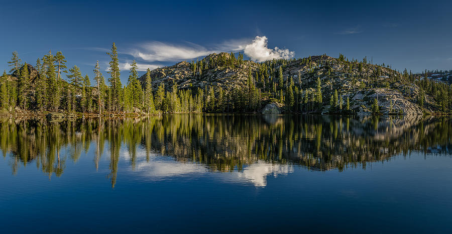Tree Photograph - Salmon Lake Panorama by Greg Nyquist
